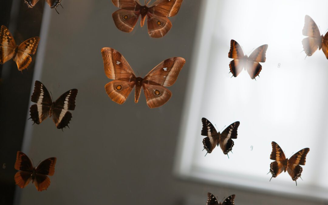 Nachhaltigkeit in Naturkundemuseen und Natur-Besucherzentren